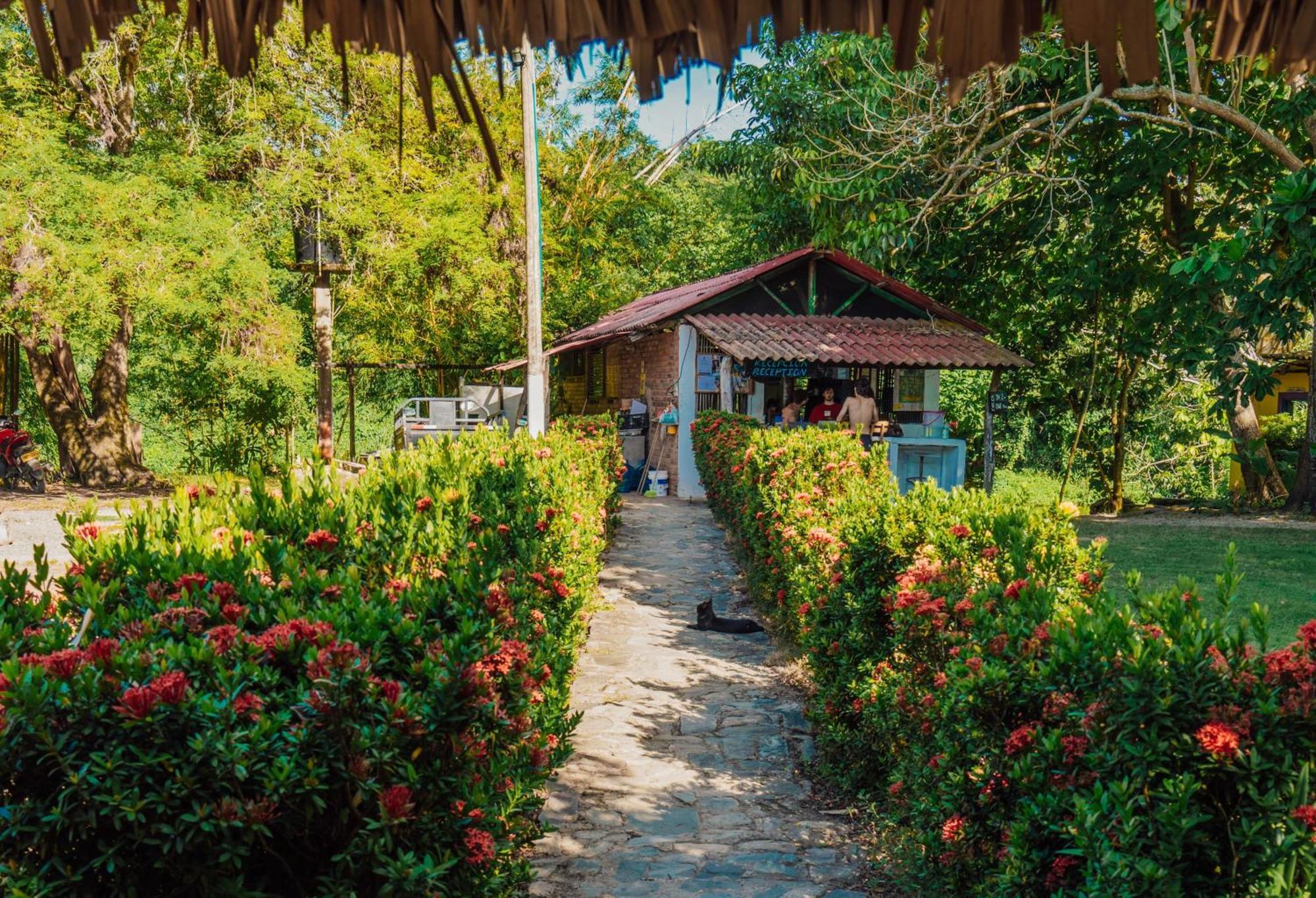 Jaba Jan Hostal ปาโลมิโน ภายนอก รูปภาพ