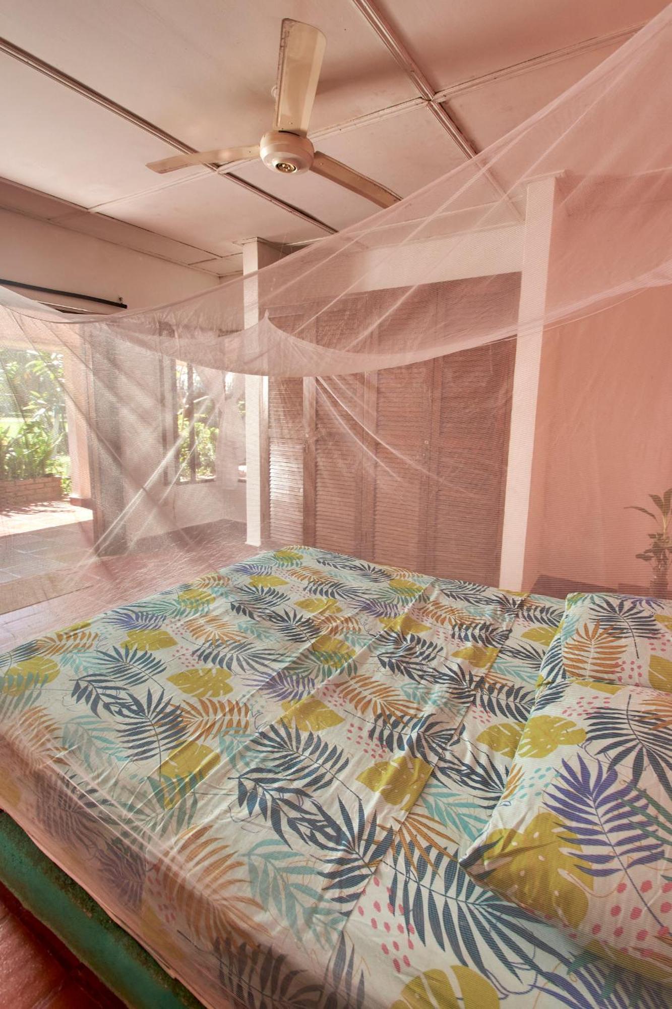 Jaba Jan Hostal ปาโลมิโน ภายนอก รูปภาพ